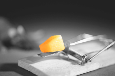 Tomek's American Logo