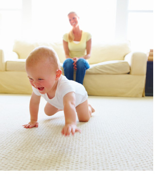 Schaumburg Carpet Care Logo