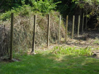 Landscaping Wilmington De Logo