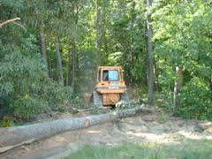 Earth Works Tree Service &amp; Landscaping Logo