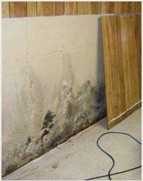 Whittier Flood USA Logo