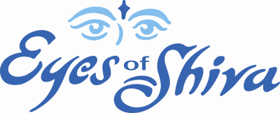 Eyes of Shiva Window and Gutter Cleaning Logo
