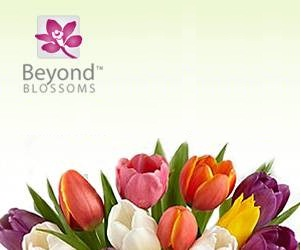 Beyond Blossoms Logo