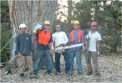 Environmental Tree Care Littleton Logo