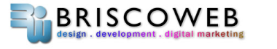 Briscoweb Logo