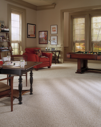 All Florida Carpet Logo