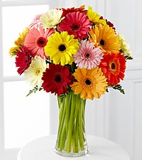 Rainbow Flowers &amp; Buds Logo