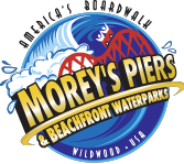 The Blue Palms Hotel Logo