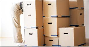 Prosperity Movers Logo