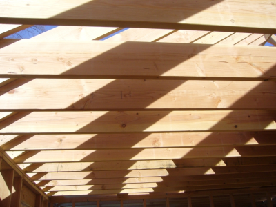 Trumbull Home Improvement Logo