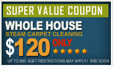 Tile and Grout, Carpet, Air Vents Cleaning Manvel, TX Logo