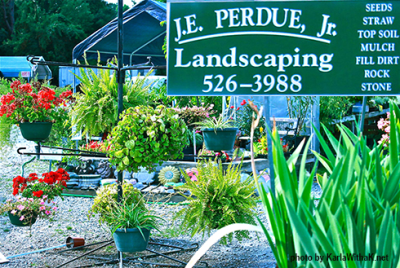 J. E. Perdue Landscaping & Garden Center Image