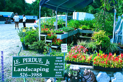 J. E. Perdue Landscaping &amp; Garden Center Logo