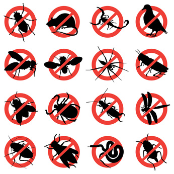 Murphy Pest Control Logo