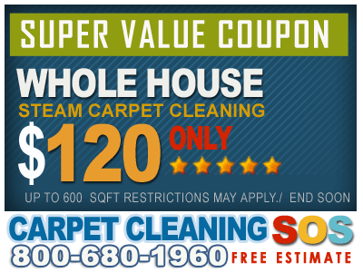 Powerful Steam Carpet &amp; Rugs Cleaning in Phoenix Logo