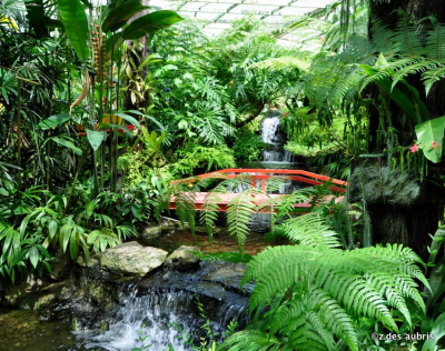 All Around Landscape Logo