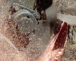 Don's Tree Services Logo