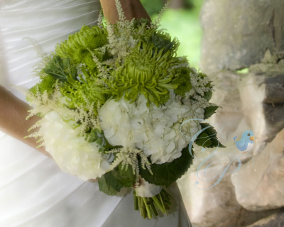 Cathy's Photography Logo