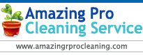 Amazing Pro Cleaning Service Logo