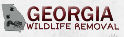 Georgia Wildlife Removal Logo