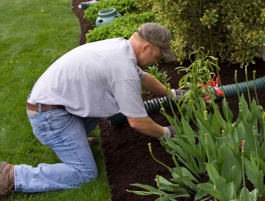 Whitefish Landscaping Logo