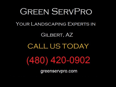 Green ServPro LLC Logo