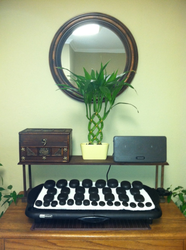 Divine Massage Therapy Logo