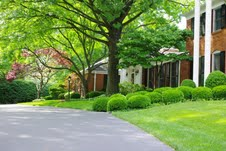 M&amp;P Landscaping Logo