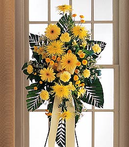 Plainfield Fine Blooms Logo