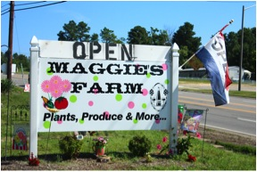 Maggie's Farm Logo
