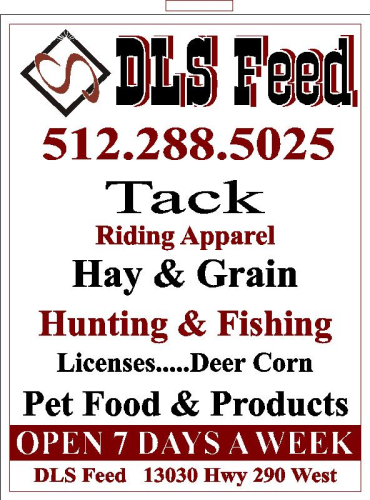 Dls Feed Logo
