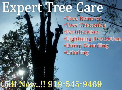 Expert Tree Care Logo