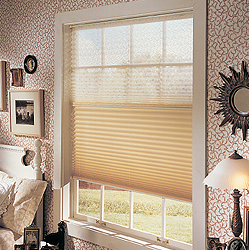 The Blind Spot Image