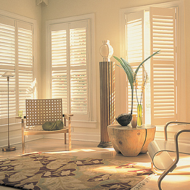 The Blind Spot Image