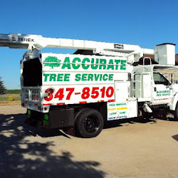 Accurate Tree Service &amp; Stump Grinding Logo