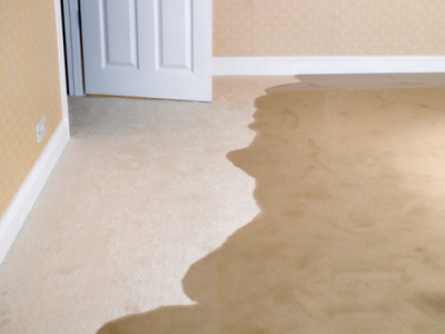 Baldwin Carpet Cleaning Pro Logo