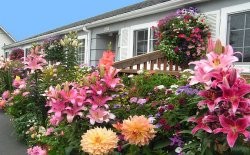 Weiss' Paradise Suites Image