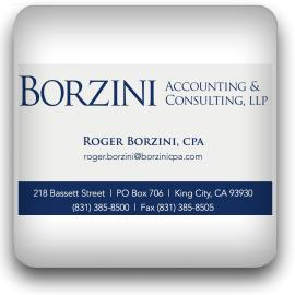 Borzini Accounting &amp; Consulting, LLP Logo