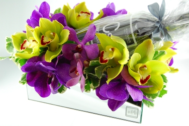 Willow &amp; Bloom Logo