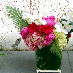 Willow & Bloom Image