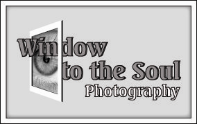 A Window to Your Soul Photography Logo