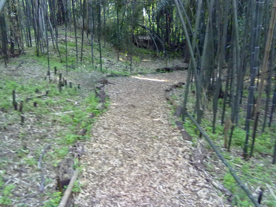 AS Environmental Logo