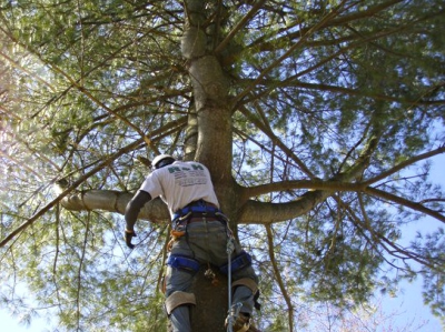 R &amp; H Landscaping Logo