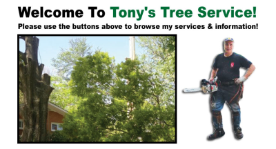Tony&apos;s Tree Service Logo