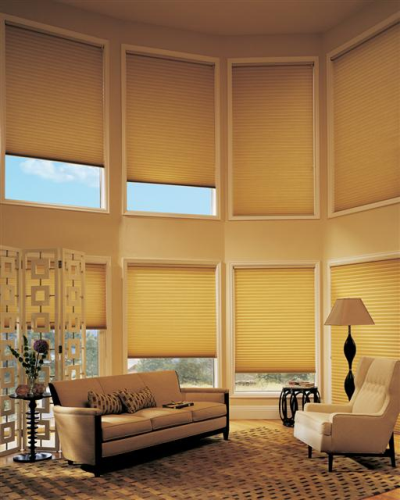 Blinds Showcase Image