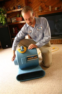 Steam A Way Carpet Cleaning Image