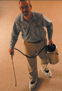 Steam A Way Carpet Cleaning Image