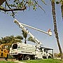 Allied Tree Svc Image