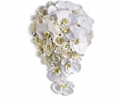 Westmont Floral Shop Image