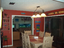 C Ponz Painting & Wallpaper Hanging Image